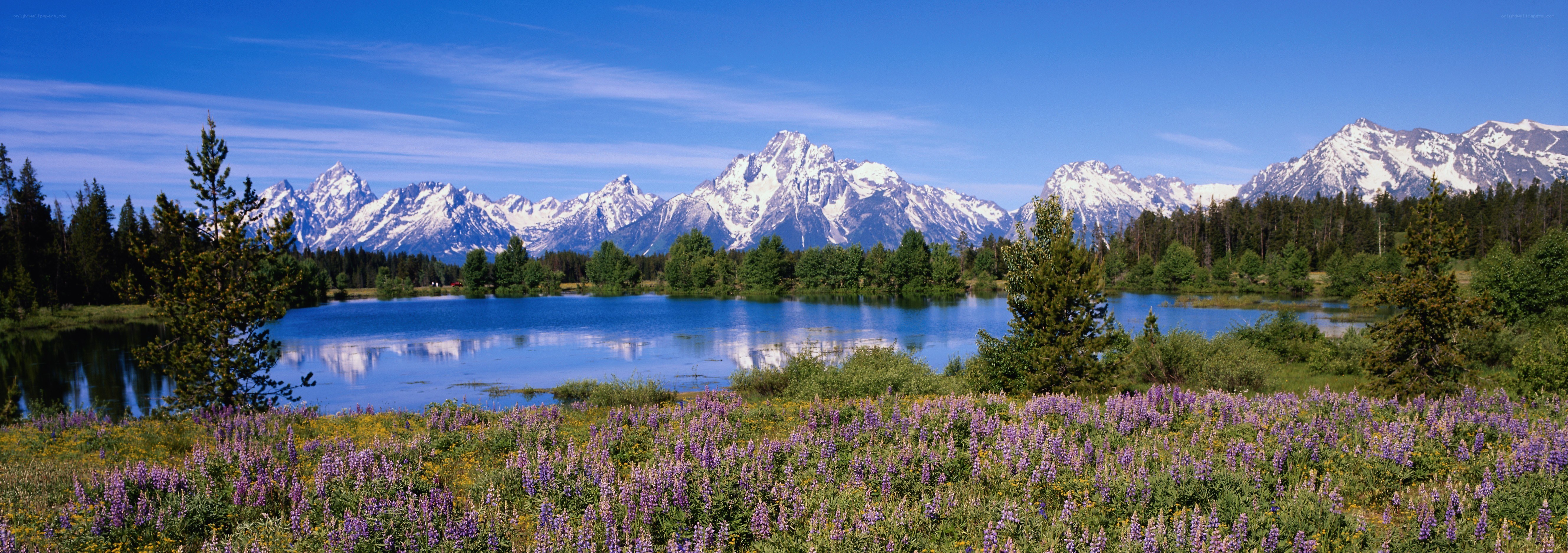 Mountain lake with wildflowers