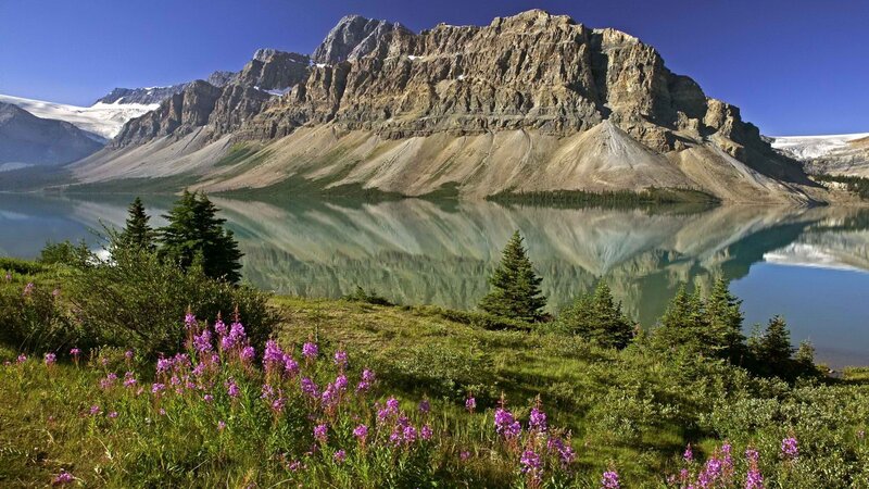 Mountain lake with wildflowers