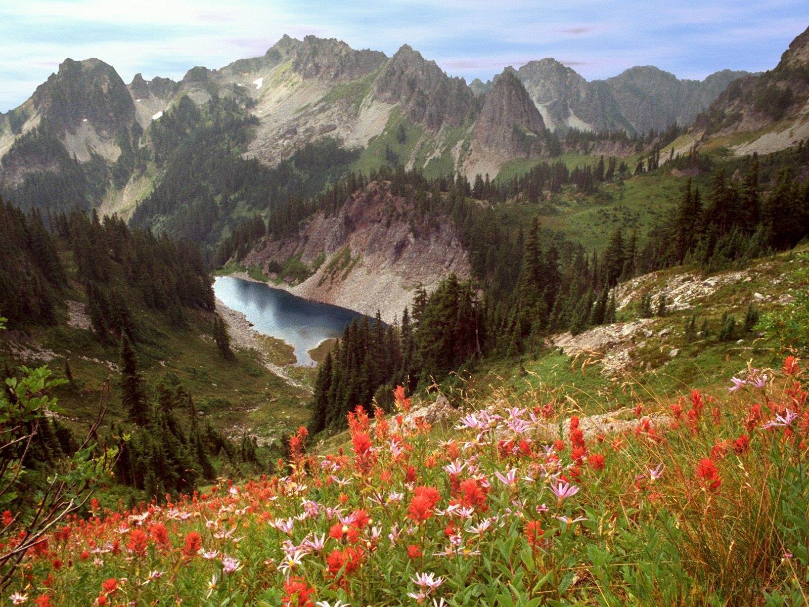 Mountain lake with wildflowers
