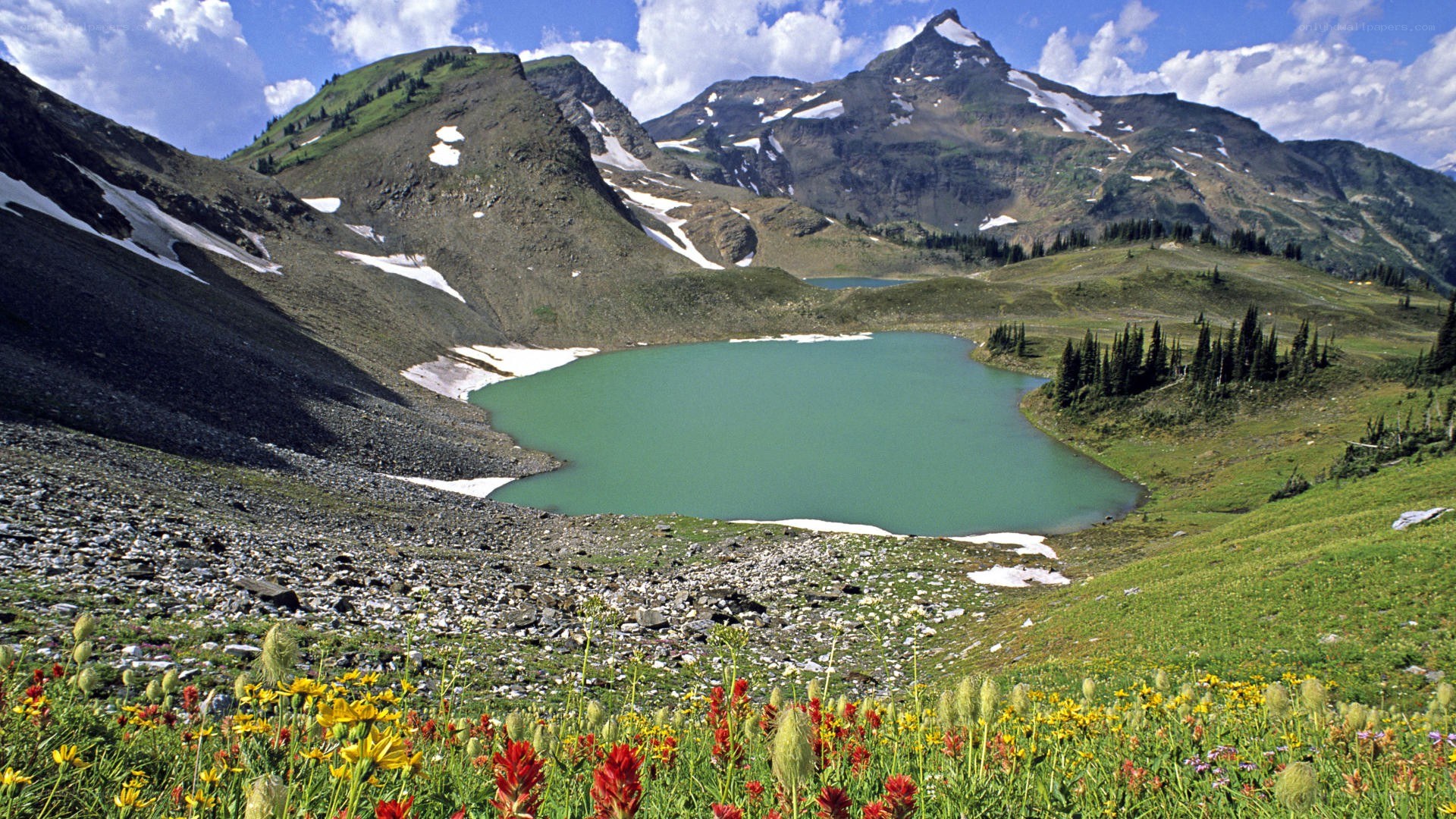 Mountain lake with wildflowers