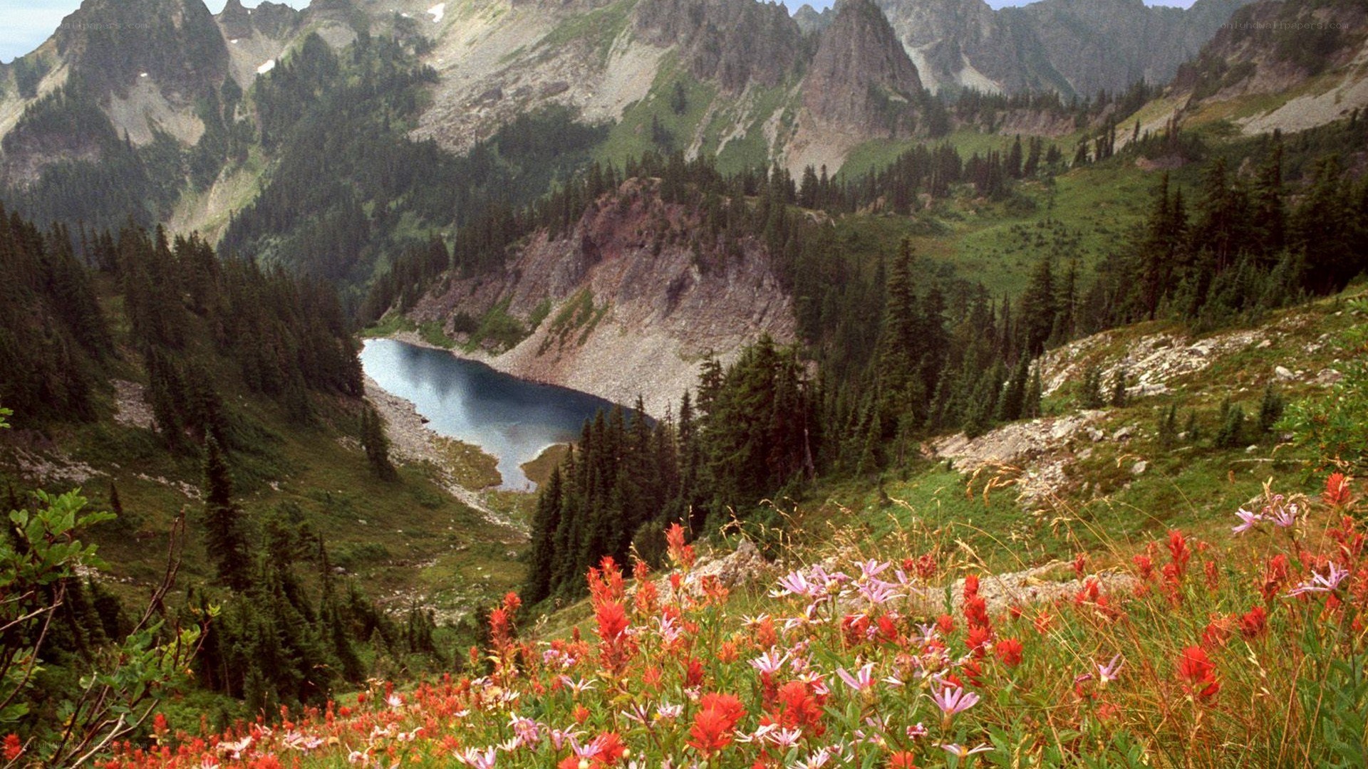 Mountain lake with wildflowers