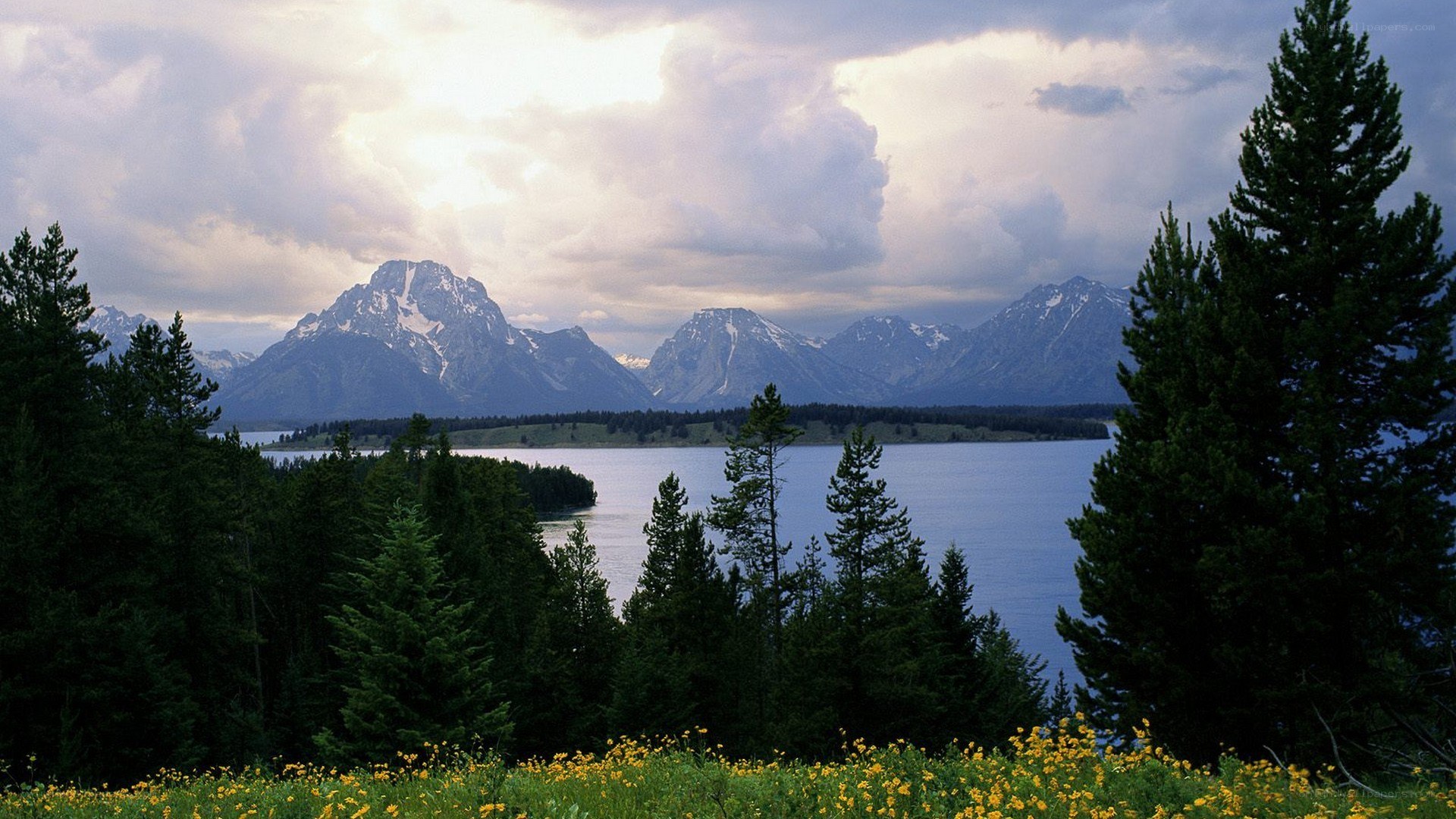 mountain lake with wildflowers