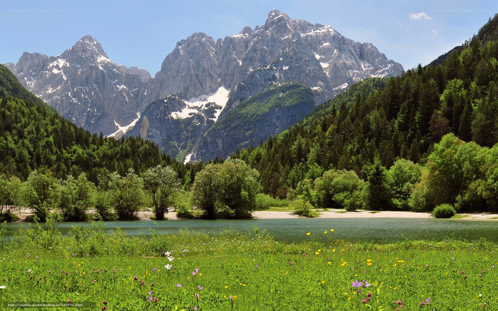 Mountain lake with wildflowers