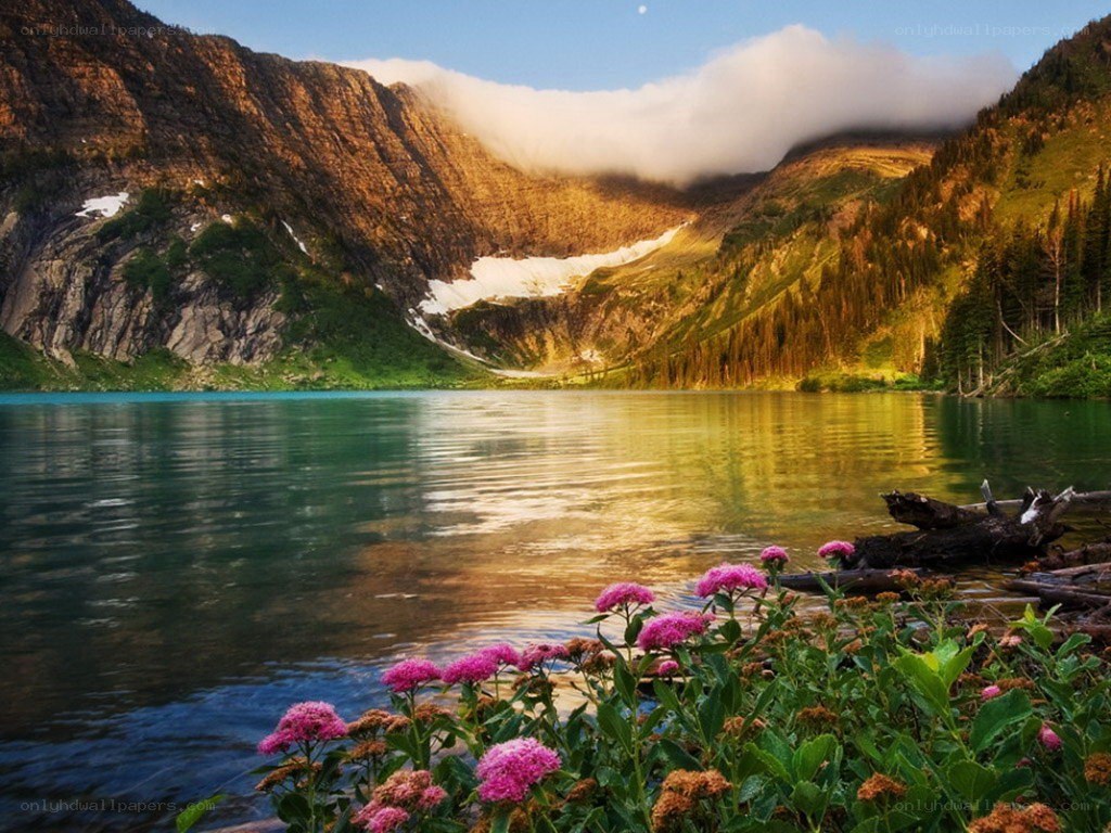 Mountain lake with wildflowers