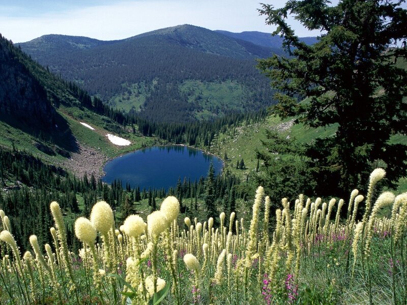 Mountain lake with wildflowers