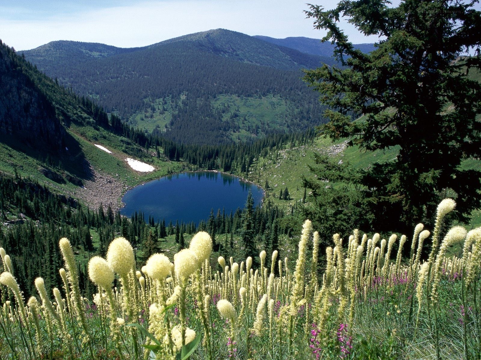 Mountain lake with wildflowers