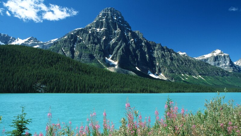 Mountain lake with wildflowers