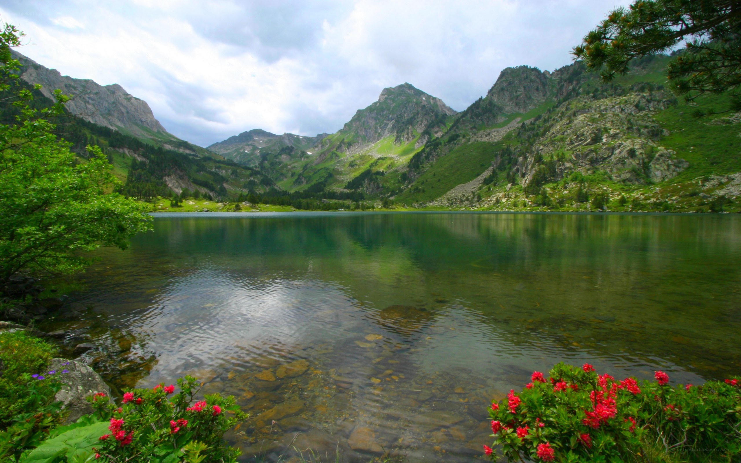 Mountain lake with wildflowers