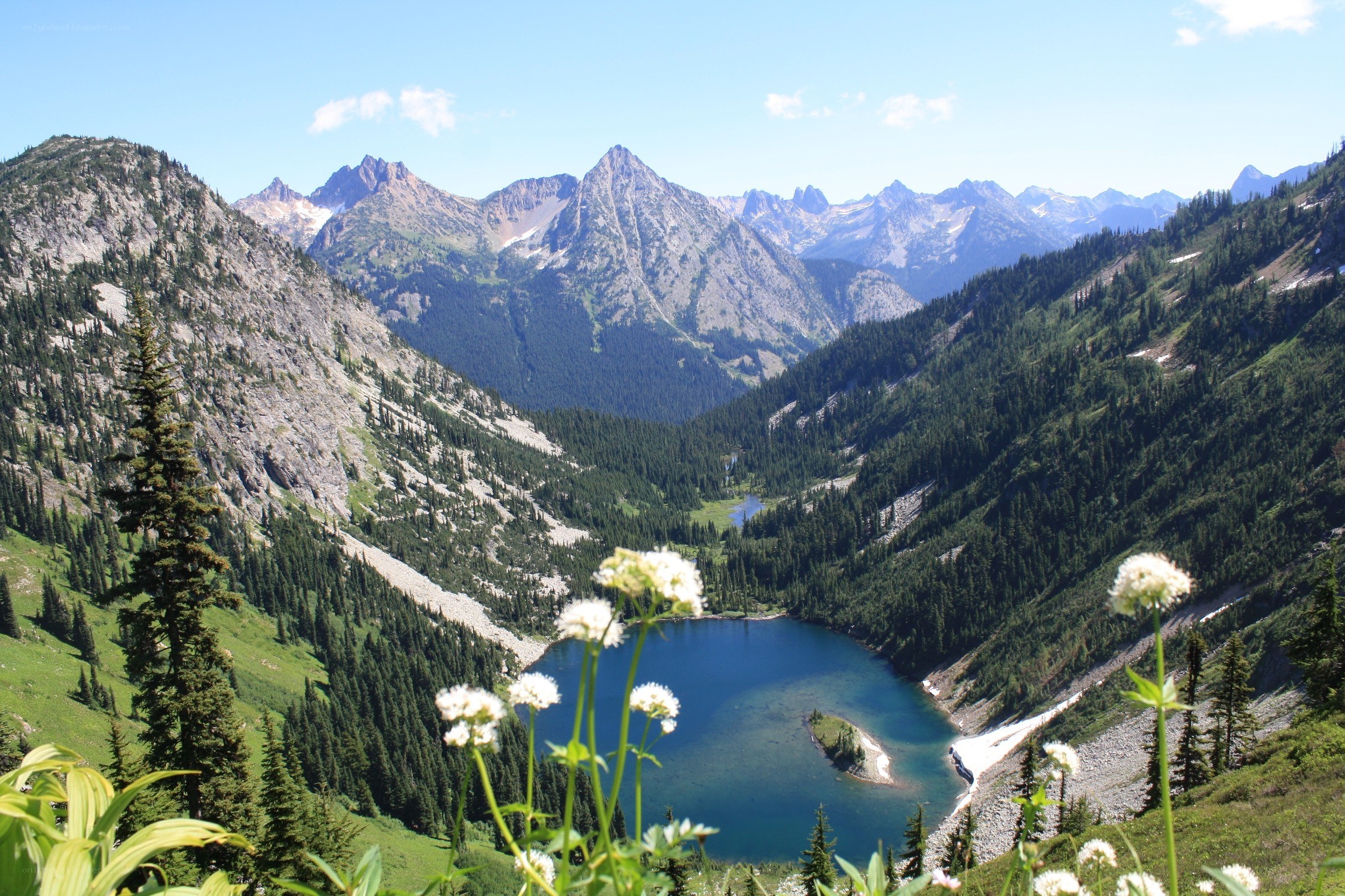 Mountain lake with wildflowers