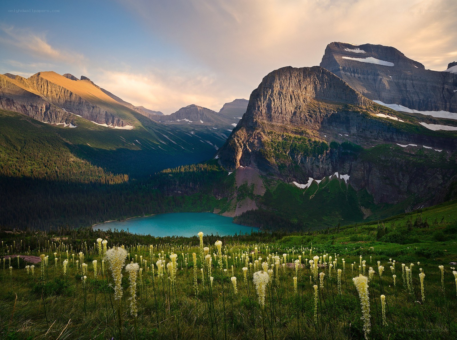 Mountain lake with wildflowers
