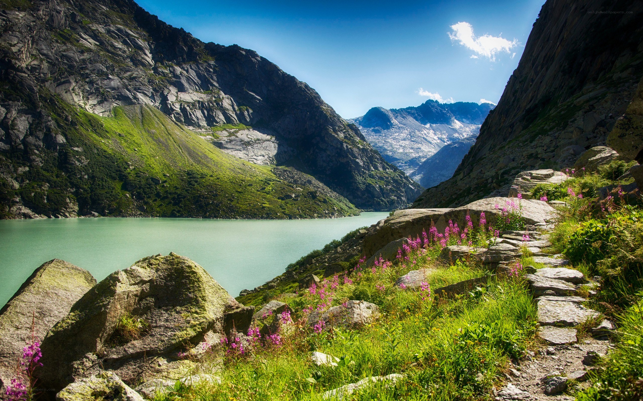 Mountain lake with wildflowers