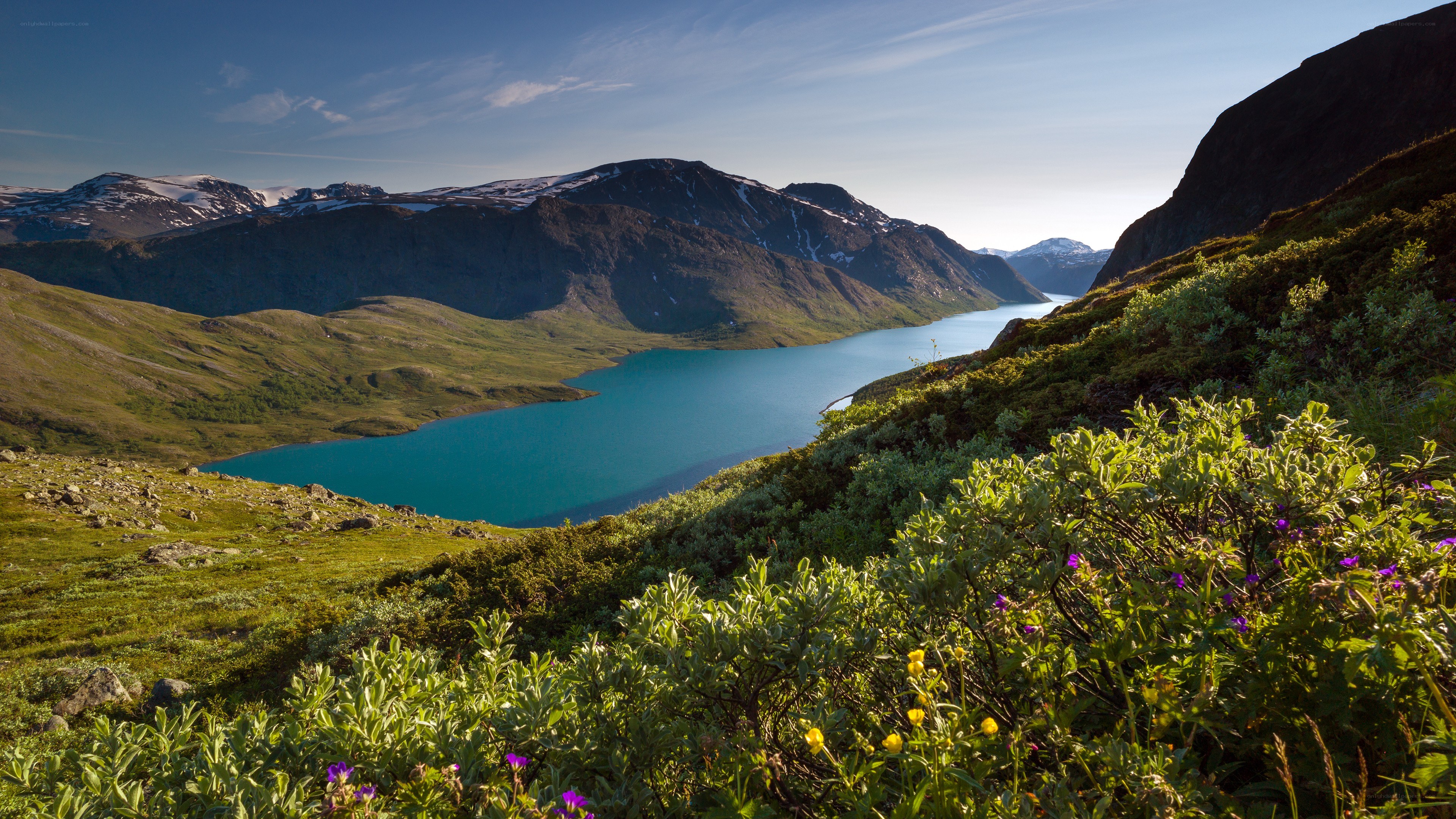 Mountain lake with wildflowers