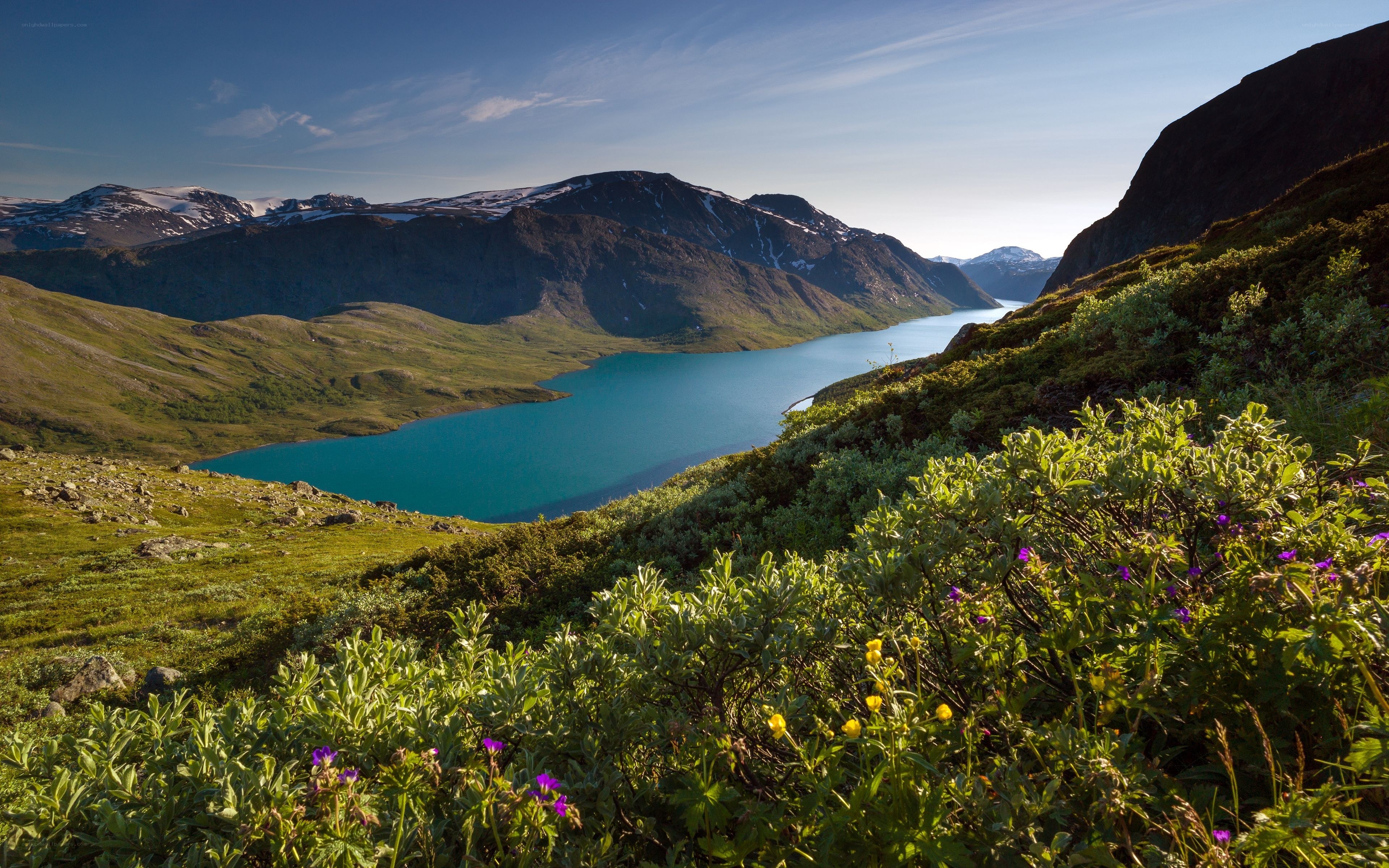 Mountain lake with wildflowers