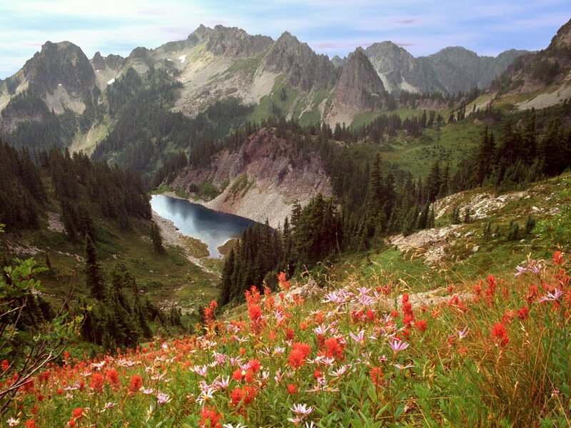 mountain lake with wildflowers