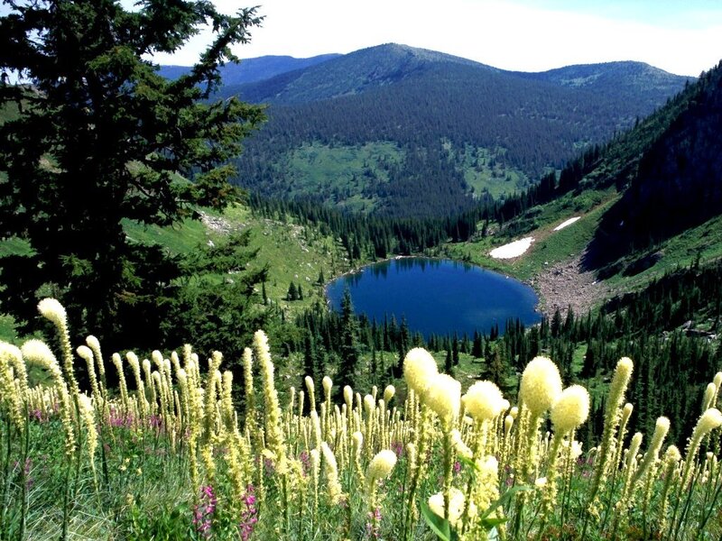 Mountain lake with wildflowers