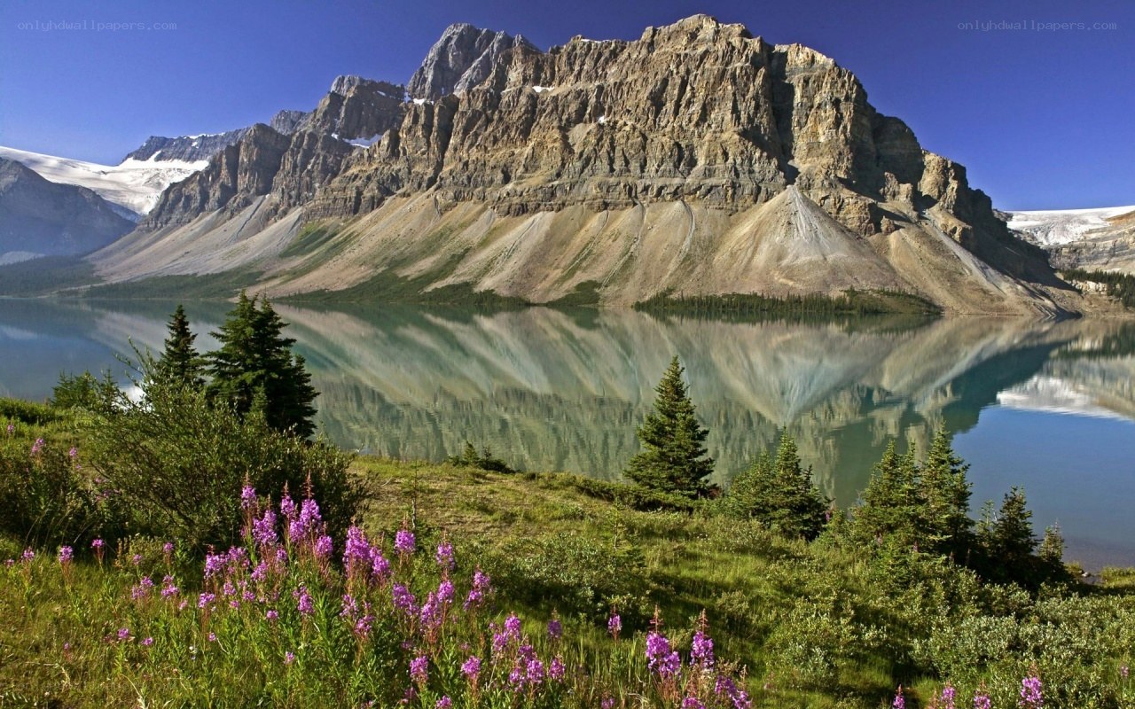 Mountain lake with wildflowers