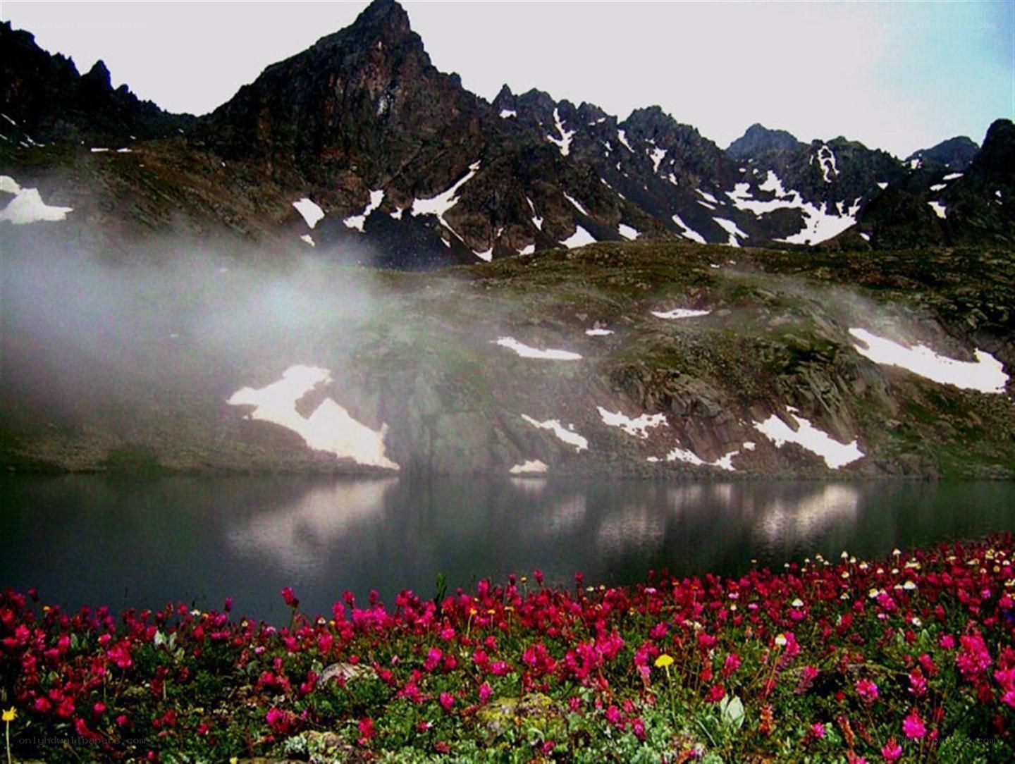 mountain lake with wildflowers