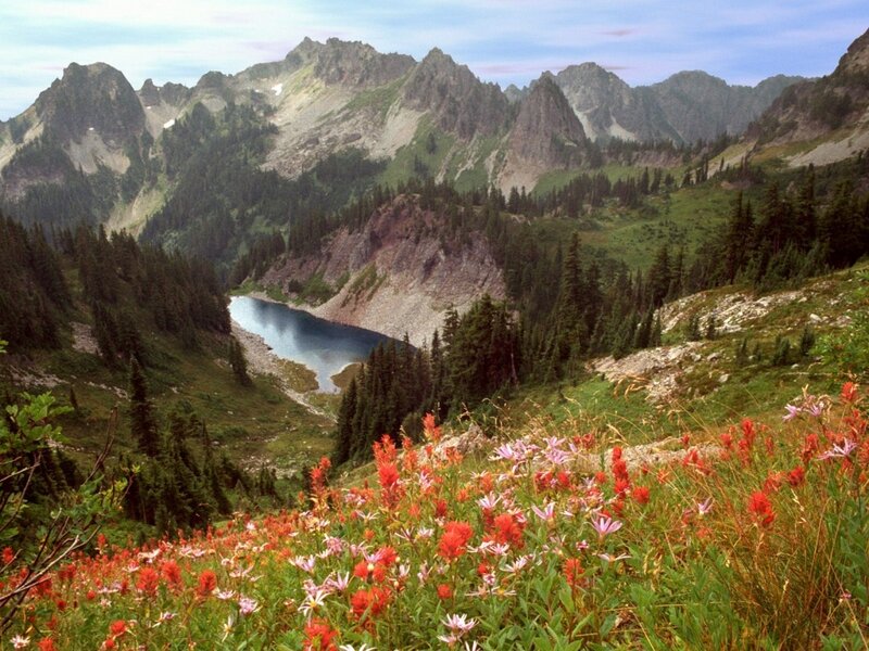 Mountain lake with wildflowers
