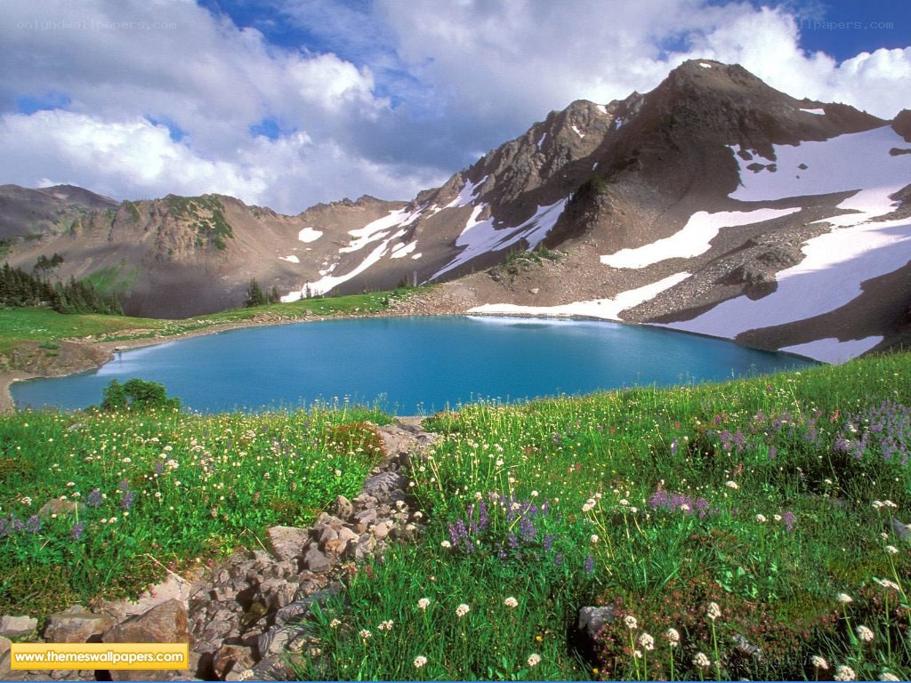 Mountain lake with wildflowers