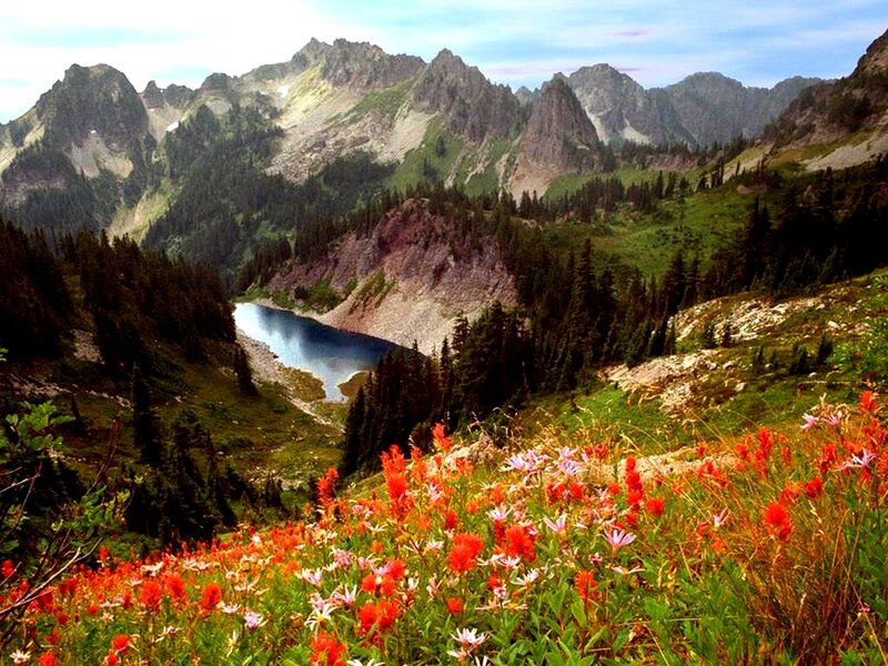 Mountain lake with wildflowers