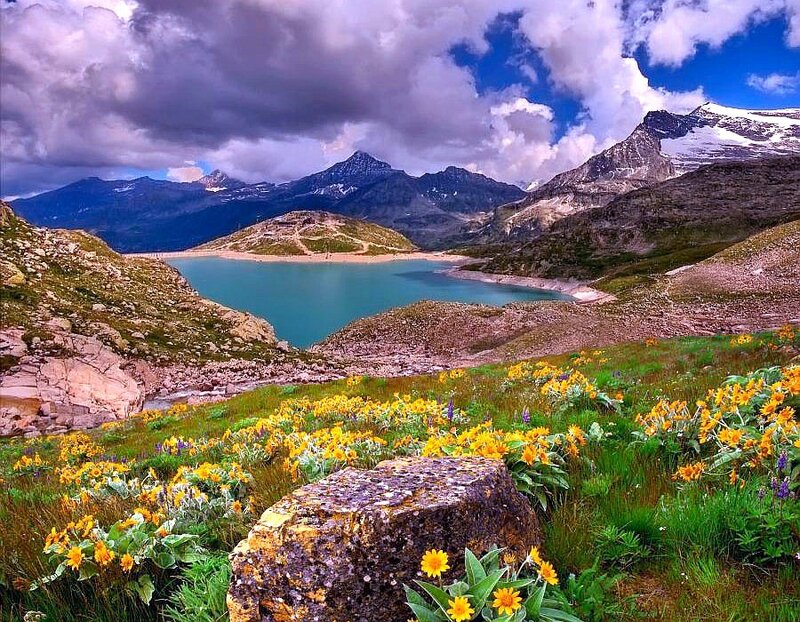 Mountain lake with wildflowers