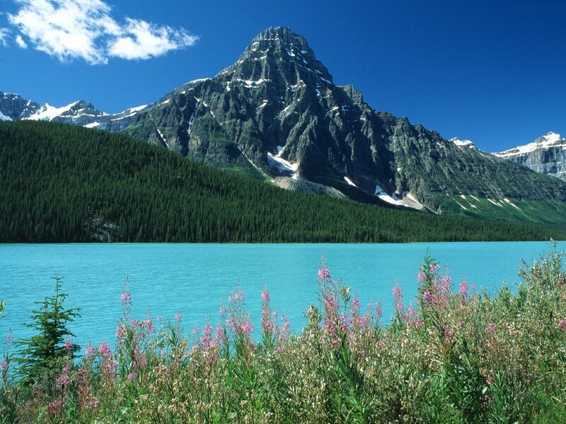 Mountain lake with wildflowers
