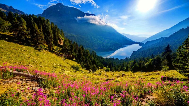 Mountain Lake with Wildflowers — Blue, Serene, Afternoon, Photograph