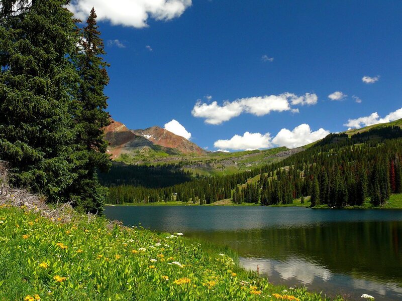 Mountain Lake with Wildflowers — Blue, Serene, Summer, Photograph