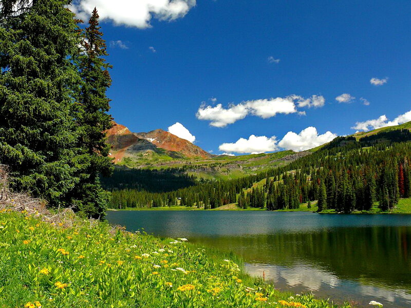 Mountain Lake with Wildflowers — Blue, Serene, Summer, Photograph, Trees