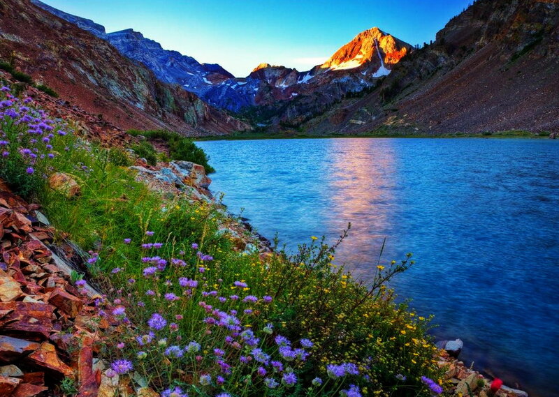 Mountain Lake with Wildflowers — Blue, Serene, Sunset