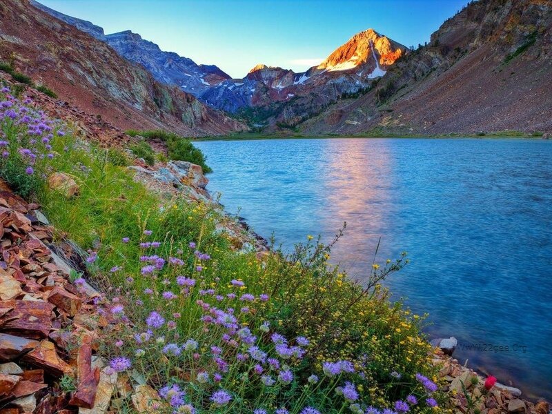 Mountain Lake with Wildflowers — Blue, Serene