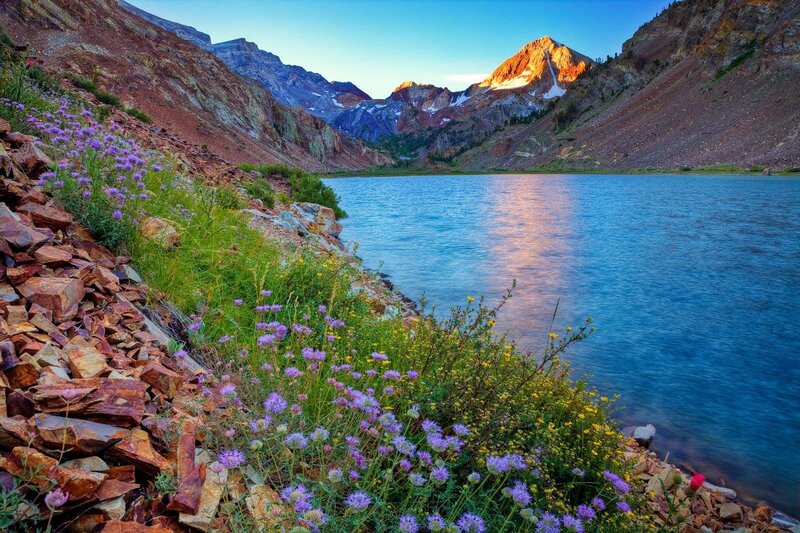 Mountain Lake with Wildflowers — Blue