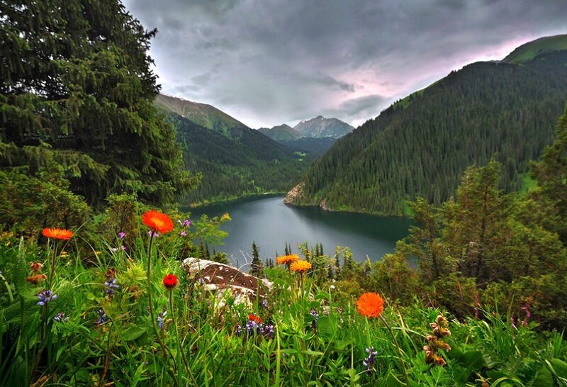 Mountain Lake with Wildflowers — Green, Dramatic, Afternoon