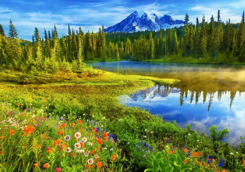 Mountain Lake with Wildflowers — Green, Serene, Morning