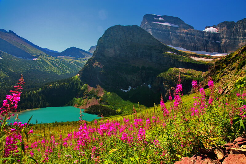 Mountain Lake with Wildflowers — Green, Serene, Summer