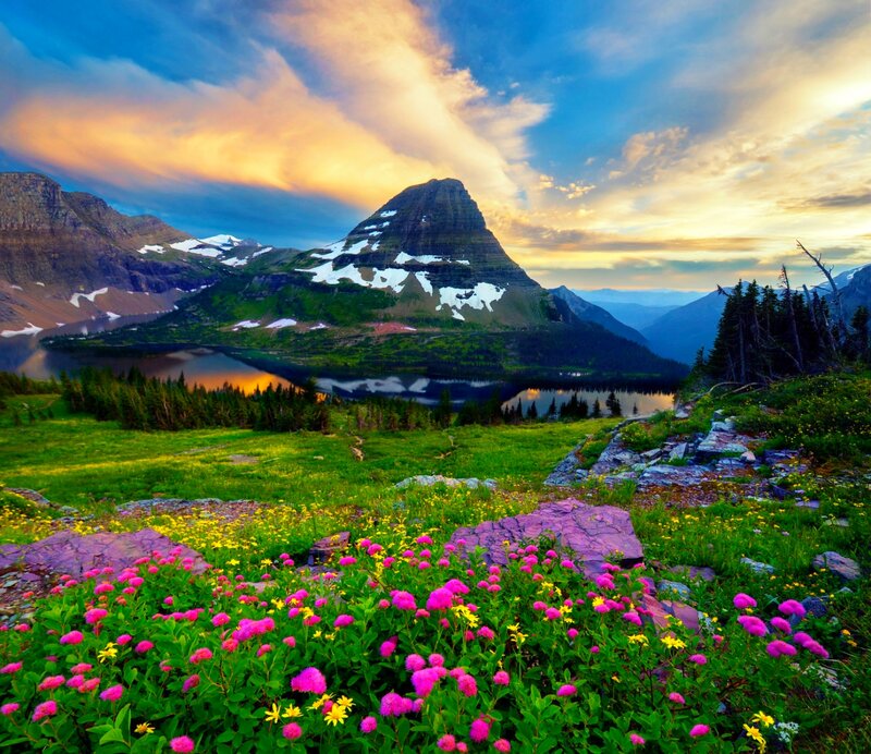 Mountain Lake with Wildflowers — Green, Serene, Sunset, Photograph