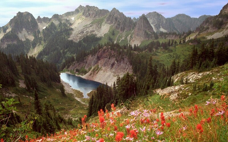 Mountain Lake with Wildflowers — Green, Serene