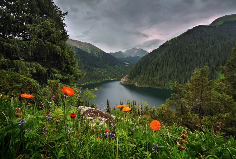 Mountain Lake with Wildflowers — Green