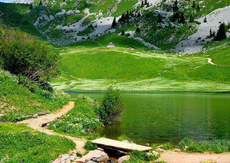 Mountain Lake with Wooden Dock — Green