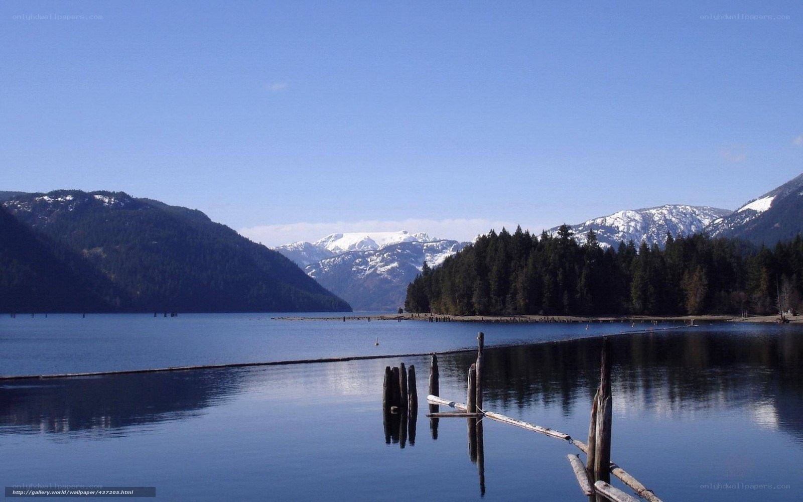 mountain lake with wooden posts