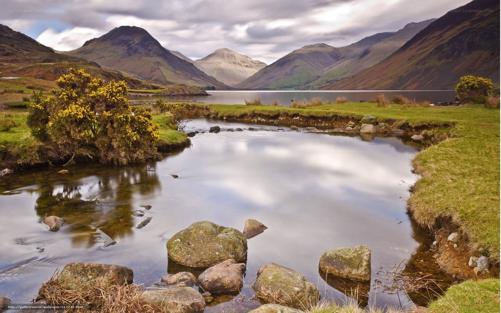 Mountain lake with yellow flowers