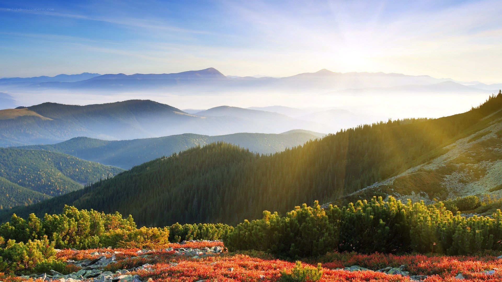 Mountain landscape at sunrise