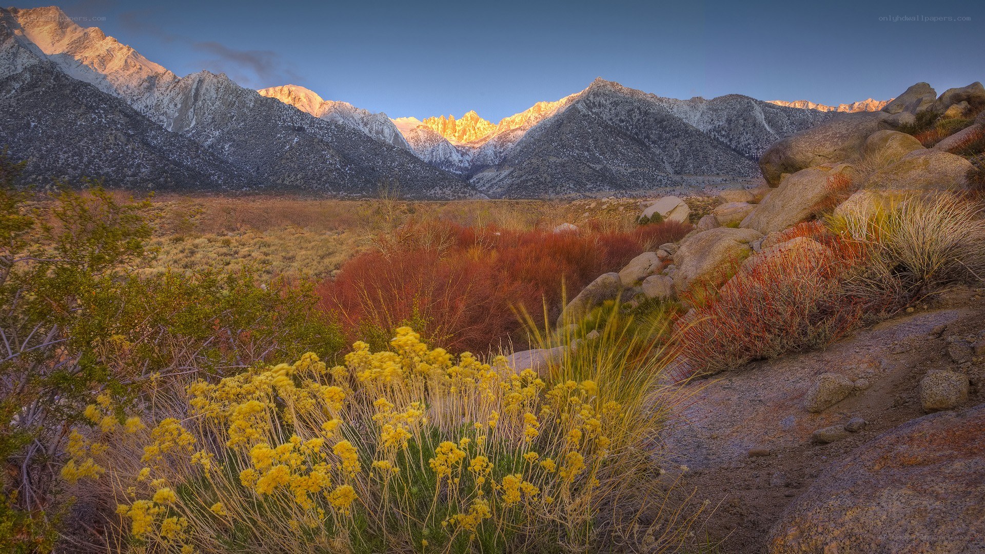 Mountain landscape at sunrise