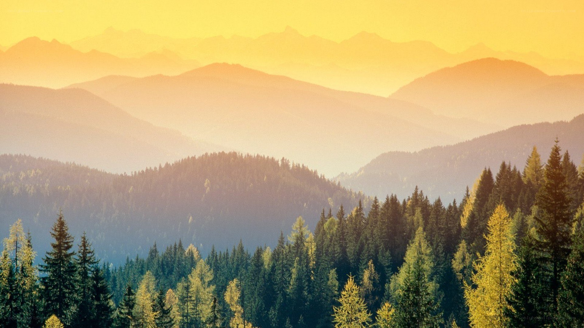 Mountain landscape at sunrise