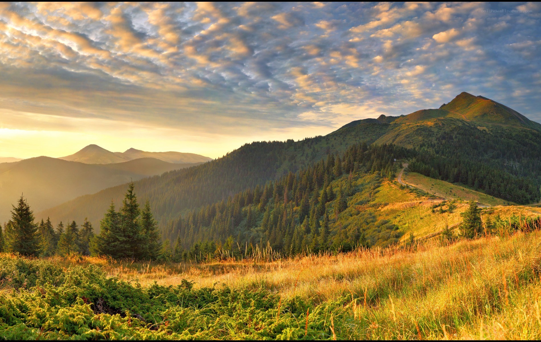 Mountain landscape at sunrise