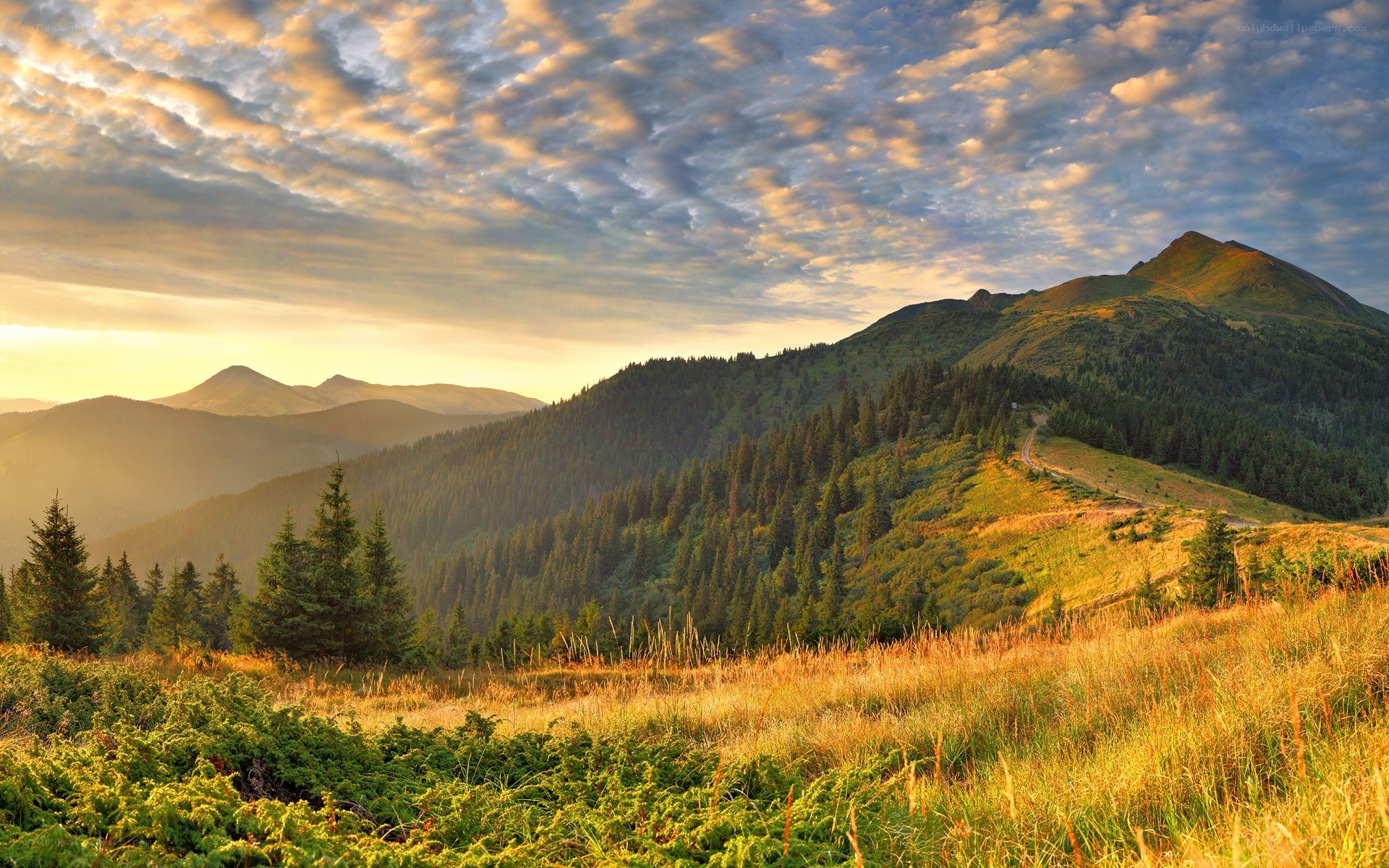 Mountain landscape at sunrise