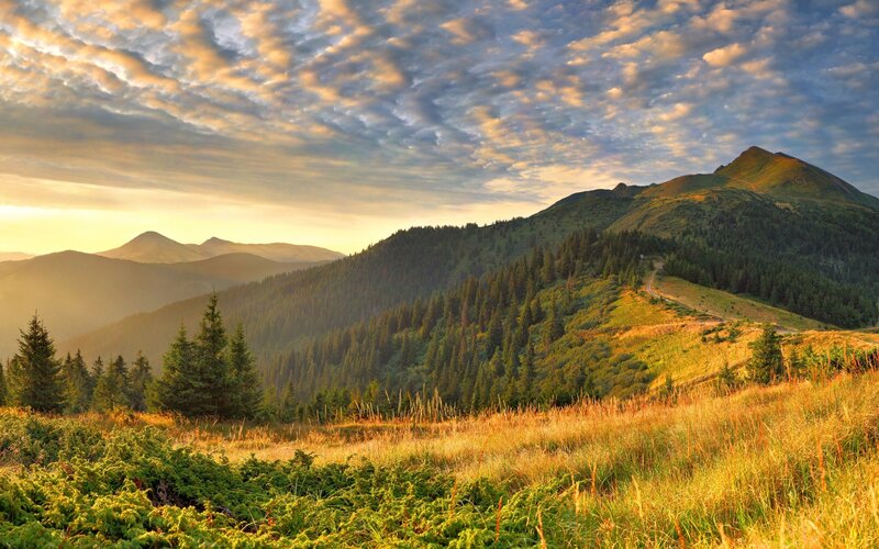 Mountain Landscape at Sunrise — Green, Serene, Photograph, Mountains, Forest