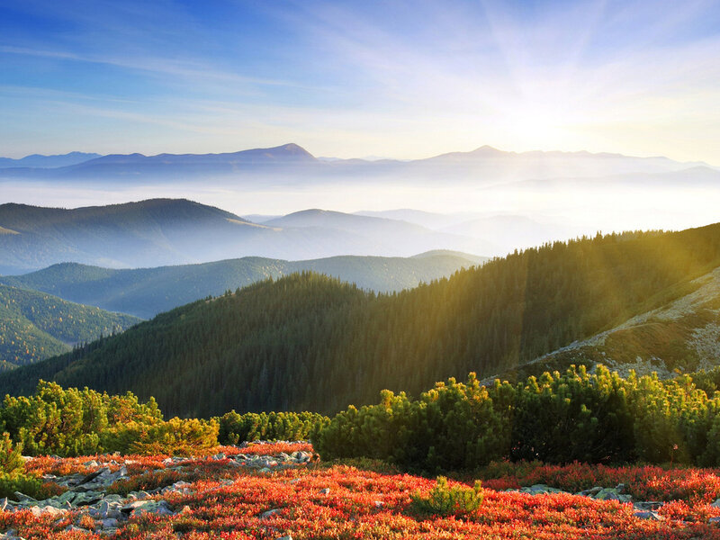 Mountain Landscape at Sunrise — Green, Serene