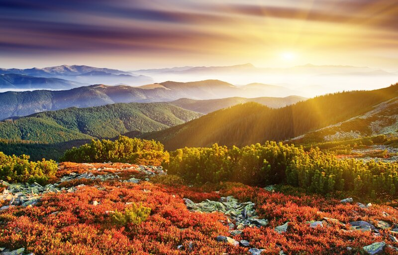 Mountain Landscape at Sunrise — Orange, Serene, Photograph, Hills, Forest