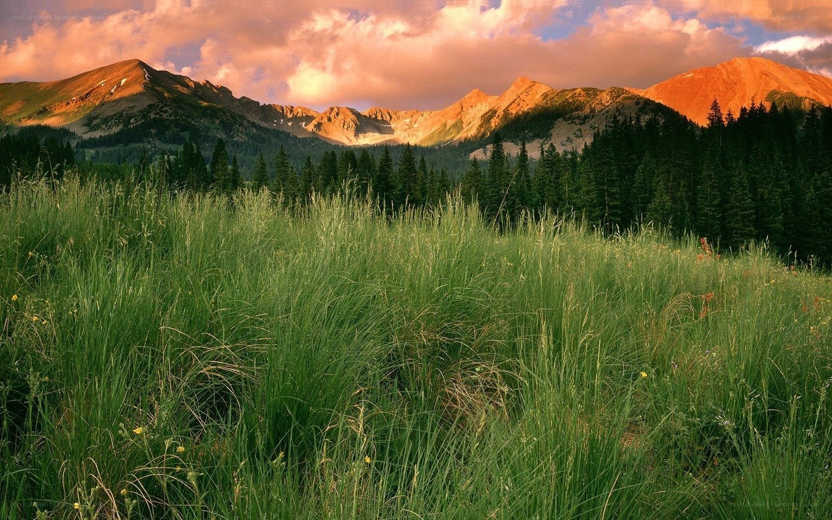 Mountain landscape at sunset